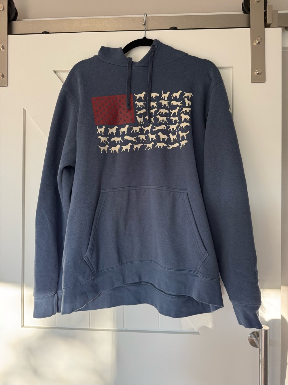 Men's Slate Blue Pullover Hoodie with Dog Graphic